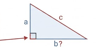 Com calcular un catet